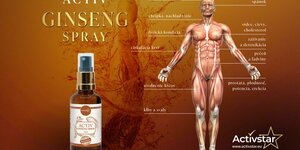 Komplexní síla pro celé tělo?